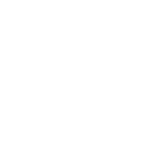 INS-IQ-Icons---Flood---RO