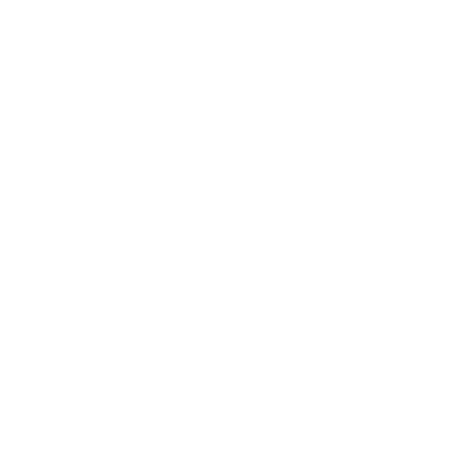 INS-IQ-Icons---Fraud---RO