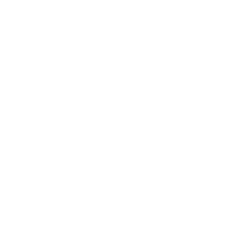 INS-IQ-Icons---Hurricane---RO
