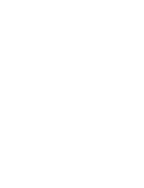 INS101