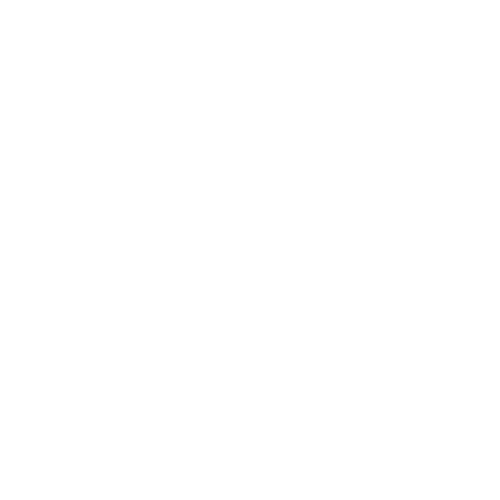 INS-IQ-Icons---Value---RO