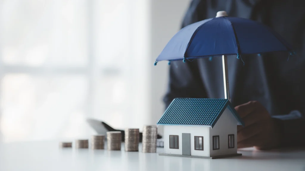NFIP (National Flood Insurance Program)